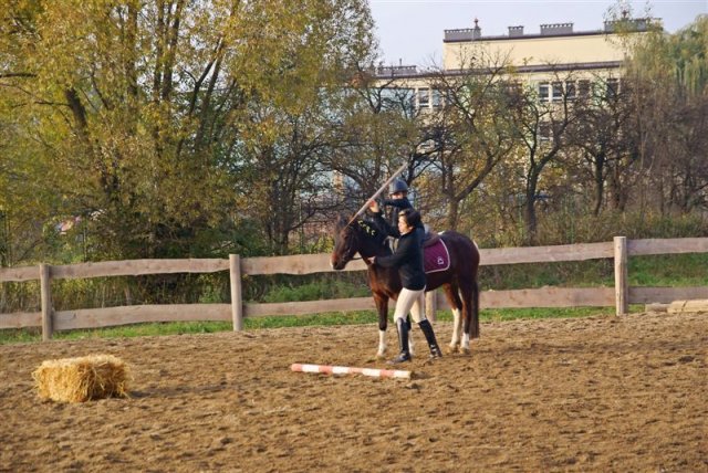 Hubertus 2009